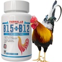 Farmalab B12 B15 kukoille B15 B12 para Gallos 100 tablettia