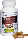 Sayan 7 Mushroom Extract 90 kapselia/440 mg ea ...Immuunituki & energia Luomu Chaga, Reishi, Lion's Mane, Maitake, Shiitake, Turkey Tail Adaptogen Blend ...