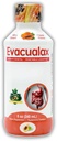 Senna Liquid Laxative aikuisille & Kids - Papaya Flavor, Natural Senna Leaf & Prune - Jakkara Softener Ummetus Relief - Herbal Syrup for Bowel Support, digestiivinen puhdistus - 8oz
