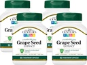 21. vuosisata Rypälesiemenuute Veg-kapselit, 60 kreivi (21378) (Pack of 4)