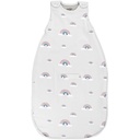 Woolino Merino Wool Ultimate Baby Sack - 4 Season Baby pukeutuvat Blanket - Kaksi-Way Zipper säädettävä makuupussi vauvoille ja pikkulapsille - Universaali koko (2-24 kuukautta) - Sateenkaari
