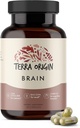 Terra Origin, terveet aivot täydentää, kapselit, 30 Servings, CDP Choline, Ginkgo Biloba Extract, ja Bacopa - terve mieli, parantaa muistia, palauttaa ja toiminto