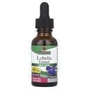 Luonto?S Vastaus Lobelia Herb Lobelia Inflata - Natural Herbal Supplement - Gluteeniton alkoholiton - Ihanteellinen Immuniteetti Kokonaisterveys hyvinvointi? 690mcg (1 FL Oz)