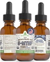 RawGuru L-Metyylifolaatti 15 mg + B12-vitamiini - Orgaaninen Vegaanimetyyli B12, jossa on trace Minerals - Nanoprocessed & enhanced Liquid Formula - 300 tarjoilua Vegan Drops per 30 ml, pakkaus 1