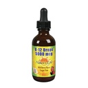 Nature's Life B-12 Drops, Methlycobalamin 4 oz (2 Fl Oz (Pakkaus 1))