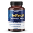Red Vine Leaf and Horse Chestnut, 50% Flavonoids for Leg Vein Support, Skin, Heart Wellness - Valmistettu Yhdysvalloissa