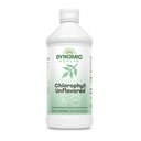 Dynaaminen terveys Nestemäinen klorofylli Mauton 100 mg, Natriumkupariklorofyllit Alfalfa ja Mulberry lehdet, Kasvin puhdistus ja deodorointi, Ei lisättyä sokeria, 16 Fl Oz