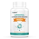 Orgabay Liposomal NAD+ Täydennys 500 mg, suuri imeytyminen, NAD+:n lisääminen TMG 250 mg:n annoksella, todellinen NAD Plus tehokkaampi kuin Nikotinamidi Ribosidi, tukisoluenergia, terve ikääntyminen 60 Softgelia