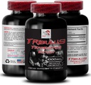 Natural Stamina Boost - TRIBULUS TERRESTRIS Extract - Voima- ja toimintatuki, energiaoptimointi Formula, Plant-Based Power, Body Performance Blend, Active Recovery, Energy Flow 1Bot 90Tabs