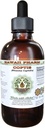 Koptis alkoholiton nesteuute, koptis (Rhizoma Coptidis) Kuivattu juuri Glycerite Havaiji Pharm Natural Herbal Supplement 2 oz