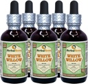 Valkoinen Willow (Salix Alba) Glyseriitti, Luomukuivattu Bark Alkoholiton nesteuute (Brandin nimi: HerbalTerra, ylpeästi valmistettu Yhdysvalloissa) 5x2 fl.oz (5x60 ml)