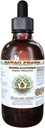 Kiinalainen kultasilmukka Alkoholiton nesteuute, kiinalainen kultasilmukka (Coptis Chinensis) Kuivattu juuri Glycerite Havaiji Pharm Natural Herbal Supplement 2oz