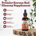Aktiivinen Ginseng Korean punainen Panax Ginseng luonnon ginsenosidit - nopea absorbing neste - tukee tervettä energiaa, elinvoimaa, mielialaa ja paljon muuta
