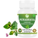Punarnava-kapselit (Boerhaavia Diffusa) 500 mg ... 60 Veg-kapselia... Kasviperäisten munuais- ja maksatukien Herbal Wellness-lisäaine...
