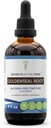 Tribe Goldenseal Root Tincture Alkoholiton uute, Korkea-Potency Herbal Drops, Tincture Valmistettu vastuullisesti viljelty Goldenseal Hydrastis Canadensis Terve Digestion 4 oz