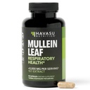 Mullein Leaf kapselit hengitysteiden terveyttä - 5000 mg uute 10:1 keuhkojen tukea ja immuunitoiminto - 90 Count - Vegan, non-GMO-kapselit - kasviperäisten täydentää päivittäin hyvinvointi - 3 kuukauden tarjonta