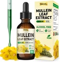 Mullein Drops for Keuhkojen täydentää: Organic Mullein Leaf 30:1 Pura Tincture with klorofylli - kasviperäisten täydentää tuki Keuhkojen puhdistus ja hengitystoiminta - ei-GMO, Vegan - 2 Fl Oz