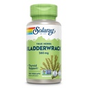 SOLARAY Rakkorapu Kapselit 580 mg - Ravintolapakatut merilevät lisäravinteet, korkea jodi - tasapainotettu kasviperäisten tuki - Vegan, ei-GMO, 60 päivän takuu, Lab Varmennettu - 100 Tarjoiluja, 100 VegCaps