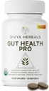 Gut Health Pro - Bloat Relief, Detox & Dgestive Support - 100% Pure Organic Triphala Supplement - naisille ja miehille - päällystämättömät Vegaanitabletit -120Ct