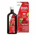 Hübner Hübner Iron Vital Liquid Iron Supply Plus C-vitamiini, ravintolisä aikuisille ja lapsille, Vegaani ja Gluteeniton, Fruit Flavor, 500 ml pullo, 50 tarjoilua