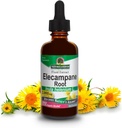 Luonnon vastaus Elecampane Root 2 oz. Alhainen orgaaninen alkoholi 2000mg - kasviperäisiä lisäravinteet - ei GMO & Kosher - Matala alkoholi Gluteeniton 100% vegaaninen - 2 FL Oz