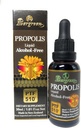 Evergreen Propolis Nestemäinen alkoholiton tinktuura 30 ml PF1170 (sisältää 1170 Propolis Flavonoid) Valmistettu Uudessa-Seelannissa