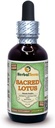 Lotus (Nelumbo nucifera) Glyseriitti, kuivattu heteet Alkoholiton nesteuute (Brandin nimi: HerbalTerra, ylpeästi valmistettu Yhdysvalloissa) 2 fl.oz (60 ml)