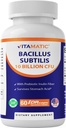 Vitamatic Bacillus Subtilis 10 miljardia per DR-kapseli - 60 Count - Ruoansulatuskanavan, Gut & Immuunin terveyden tuki - Valmistettu prebioottisella inuliinikuidusta