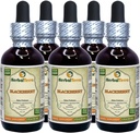 BlackBerry (Rubus fruticosus) Tincture, Luomukuivatut lehdet Liquid Extract (Brand Name: HerbalTerra, Proudly Made in USA) 5x2 fl.oz (5x60 ml)