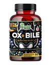 Huming Yrtit Ox Bile kanssa Dgestive Enzymes & Pre/Probiootit 90 Veg Caps Colic Acid, Inulin, Betaine HCl, Piparmint, bromelain Terve ruokahalu ja ravitseva Imeytyminen - Bile Salt täydentää