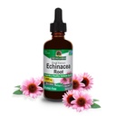Luonnon vastaus Echinacea Extract 