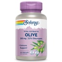 SOLARAY Olive 250mg - Olive Leaf Extract kapselit 22% Oleuropein, Plus sitruuna balm - Polyfenolit täydentää hyvinvointi tukea - Vegan, 60 päivän takuu, Lab vahvistettu - 120 Servings, 120 VegCaps