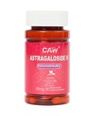 CAW Max Imeytyminen Astragalosidi IV 98% 50 mg 30 kapselia Immunosupport 