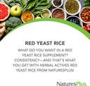 NaturesPlus Herbal Actives Red Yeast Rice - 120 kasvissyöjän kapselit, pakkaus 2 - Maksimi Potency Herbal Supplement - Gluteeniton - 240 Tarjoilu yhteensä