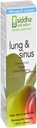 Siddha Remedies Lung & Sinus Spray for Sinus Relief, Congestion Relief, Cough Supressant, Cold Medicine, Runny Nese ...