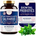 WINDSOR BOTANICALS Lactobacillus Salivarius Probiootti ja hammasprobiootit Oral Health Bundle