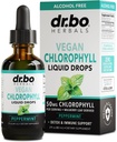 Klorofylli Nestemäiset dropit Body Detox - Vegan Nestemäiset klorofyllin drops Odor Cleanse Supplement, Energy & Immune Support, Internal Deodorant, Body Deodorizing Supplement - Natural Deodorant Water 2 oz