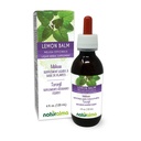 Naturalma Lemon Balm (Melissa officinalis) Leaf Alcohol-Free Tincture - 4 fl oz Liquid Extract in Drops - Kasviperäisten täydentää - Vegan