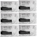 30 000 MG Shilajit Tabletit, 100% Shilajit Pure, Himalajan Organic, Shilajit miesten ja naisten Rich Fulvic Acid & 85+ Trace Minerals, Shilajit Supplement for Energy & Immunet System, 360