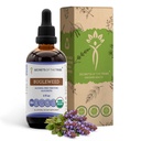 Tribe Bugleweed Tincture alkoholiton nesteuute, USDA Organic Bugleweed (Lycopus Virginicus) Kuivattu yrtti (4 FL OZ)