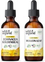 Luonnonvarainen & luomuechinacea Goldenseal Tincture 2 fl oz & Mullein Tincture 2 fl oz