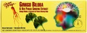 Prince of Peace Ginkgo Biloba & Red Pan Gns 30X10 Cc