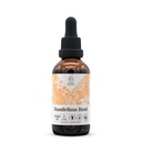 Voikukka juuri alkoholiton luonnollinen tinktuura uute, immuunijärjestelmän Booster, Liquid Drops Valmistettu 100% Voikukka (Taraxacum officinale) Kuivattu juuri (2 fl oz)