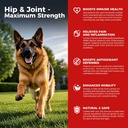 Koiran Hip ja Joint Supplement - Dog Pain Response Anti-inflammatory kanssa Glukosamiini, Chondroitin, MSM, Turmeeric, E-vitamiini, Omega 3 - Hoidot Hip Dysplasia, Niveltulehdus - Kaikki suuret pienet keskikokoinen rotu