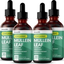 5-in-1 Mullein Drops for Keuhkot ja Bronchial - Hengitys keuhkojen terveys tuki Mullen Leaf Extract Keuhkot - Mullein Tincture Elderberry, Echinacea ja Ginger Root (120 Servings) (4-pakkaus)