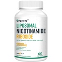 Orgabay Liposomal Nikotinamidi Ribosidi 2000 MG TMG ja Pterostilbene, Boosting NAD+, Tuki Terve ikääntyminen, 60