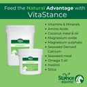 Scance Equitec Vitasstance-vitamiini, Mineraali- ja Aminohappolisä hevosille, 28,5 lb