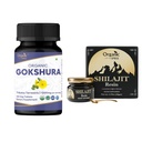 ORGAANINEN SPREE Gokshura & Himalayan Shilajit ... USDA Organic Tribulus Terrestris 120 tablettia & 20g Hartsi 85+ Trace Minerals ...