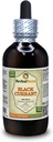 Mustaherukka (Ribes nigrum) Tincture, kuivattu lehdet Liquid Extract (Brandin nimi: HerbalTerra, ylpeästi valmistettu Yhdysvalloissa) 4 fl.oz (120 ml)