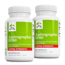 Terry Luonnollisesti Andrographis EP80 Extra Strength - Aivojen terveys- ja immuunituki - Yhteinen terveystuki avun liikkuvuudelle - Adaptogen täydentää energia- ja maksatukea - 60 kapselia (paketti 2)